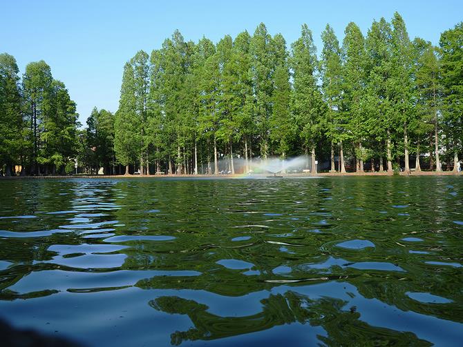 別所沼公園